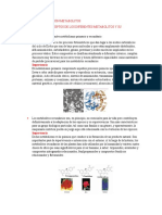 Tarea 2-Investigación Metabolitos