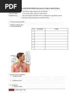 Download LKS 15 Sistem pernapasan by Havit Nugroho SN54750203 doc pdf