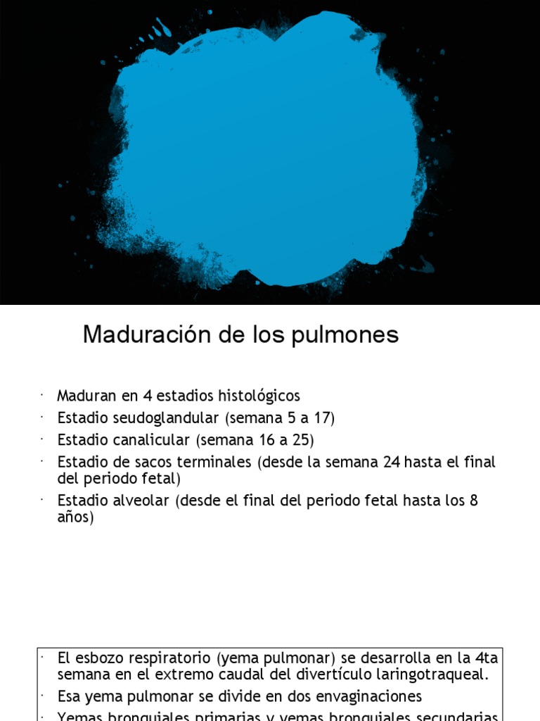 Maduración De Los Pulmones Expo Embriologia 2 1 Pdf Pulmón