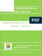 UT5. Propagación Asexual o Vegetativa