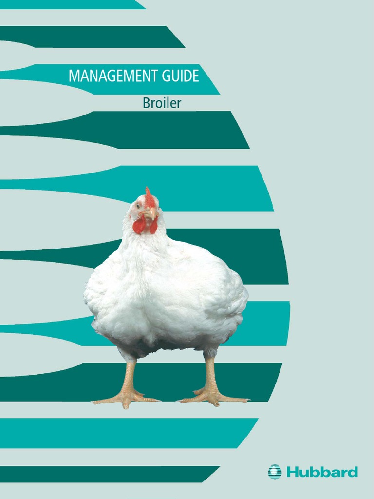Broiler Management Guide Overview | PDF | Technology & Engineering