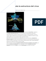 Determinada la estructura del virus Ébola