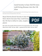 Royal Horticultural Society To Ban OLIVE Trees Bec+