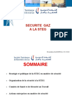Strategie Politique Securite Gaz 15122010
