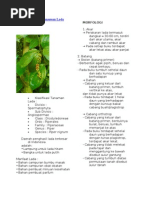 Download BudidayaTanamanLadabyerih4nSN54754138 doc pdf