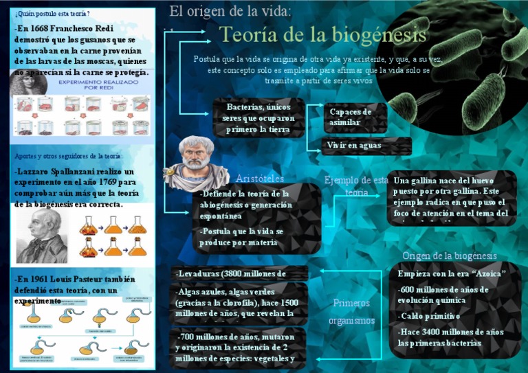 Teoría de la Biogénesis y Origen de la Vida | PDF | Abiogénesis | Biología