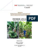 Promoción de sistemas agroforestales con cacao en Honduras