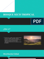 Bosque Seco Tropical