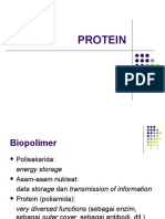 Protein