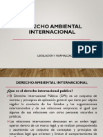 13. Derecho Ambiental Internacional