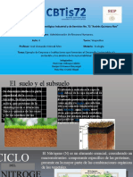 Suelo y Subsuelo (Ciclo Del Nitrogeno)