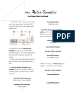 RESUMO FISIO - Sistema Motor Somático