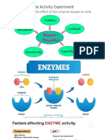 Enzyme Activity Experiment .: Objective: To Study The Effect of The Enzyme Lactase On Milk