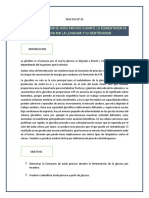 Glicolisis Produccion de Acido Piruvico Durante La Fermentacion de La Glucosa Por La Levadura Y Su Identificacion