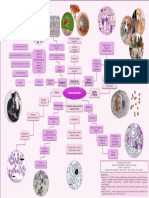 Mapa Mental 10 de Nov - Hematoparasitos