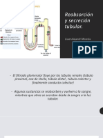 Reabsorción y Secreción Tubular