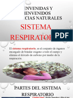 Sistema Respiratorio