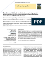 Characterization of bacterial wilt pathogen in clove crops