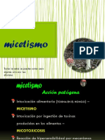 micetismo Clase 2020