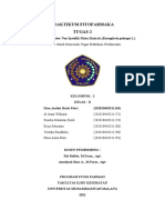 D 2018-163 Dian Andini Huda Putri 2.2 Fitofarmaka