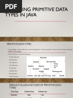 Primitive Data Types