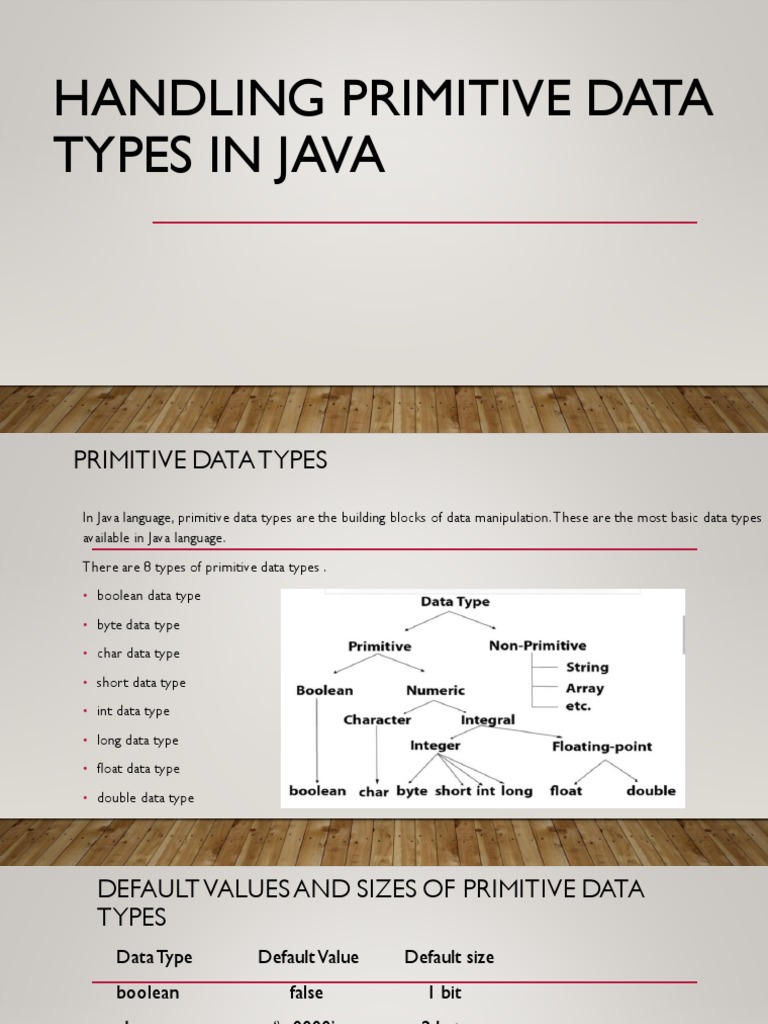 Primitive Data Types | PDF | Integer (Computer Science) | Data Type