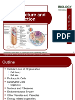 Cell Structure and Function: Biology