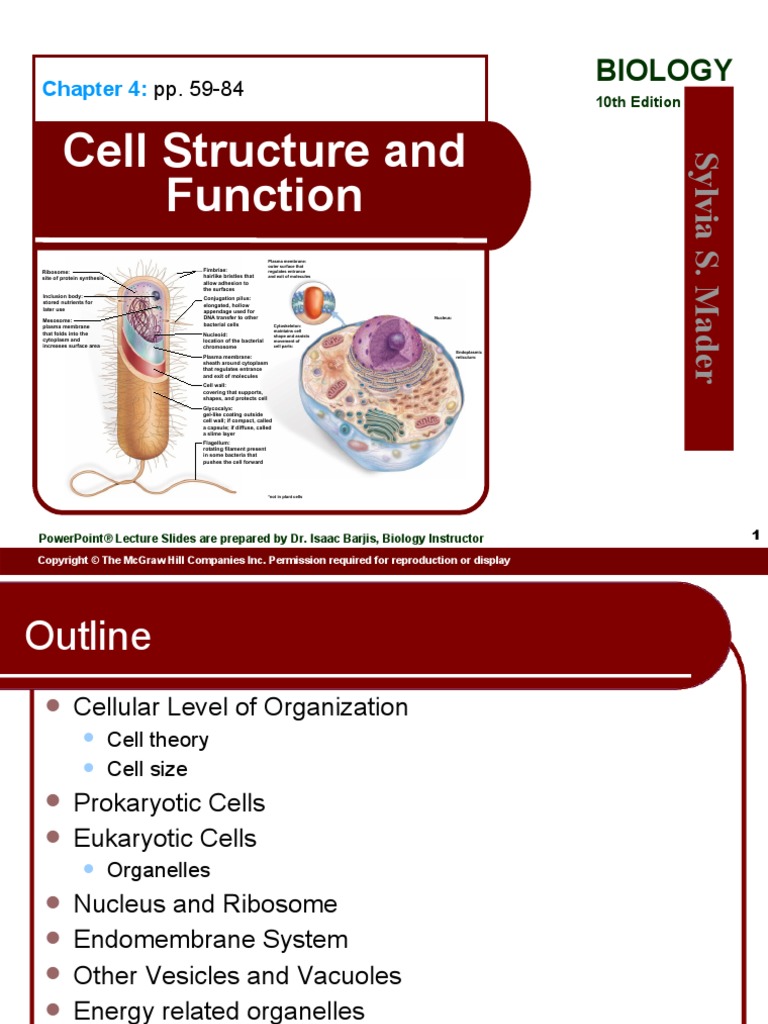 Cell Structure and Function: Biology | PDF | Endoplasmic Reticulum ...