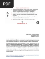 Lider Sectas - Trastorno Delirante