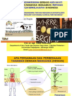 Rhizomicrobiome Engineering Through Indigenous Biofertilizers Toward Climate Resilient Sustainable Agriculture Indonesia
