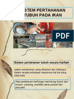 Sistem Pertahanan Pada Tubuh Ikan Fiswan