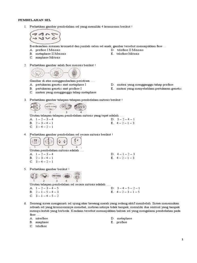 Proses Pembelahan Sel Mitosis dan Meiosis | PDF | Sains & Matematika