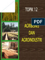 Kuliah PIP Topik 12-AGRIBISNIS&Agroindustri