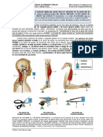 Ud1 Anatomia y Fisiologia General Parte 2 - Part7