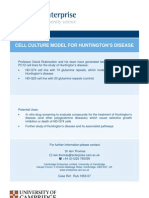 Cell Culture Model For Huntingdon's Disease - Rub-1856-07