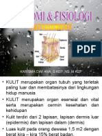 Anatomi Dan Fisiologi Integumen-1