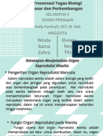 Organ Reproduksi Wanita