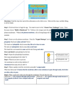 Cell Defense Worksheet