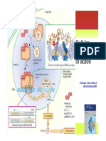 Cellular Mechanism of Action: The Biochemistry of Hormones, AIA, SY 2007-2008