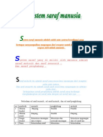 System Saraf Pada Manusia