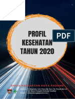 Laporan DKK Padang 2020