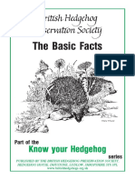The Basic Facts: Know Your Hedgehog