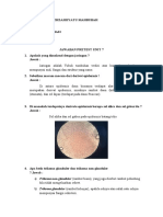 Anatomy Plant Tissue Document (39