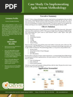 Global Delivery Model -  Agile Scrum Methodology