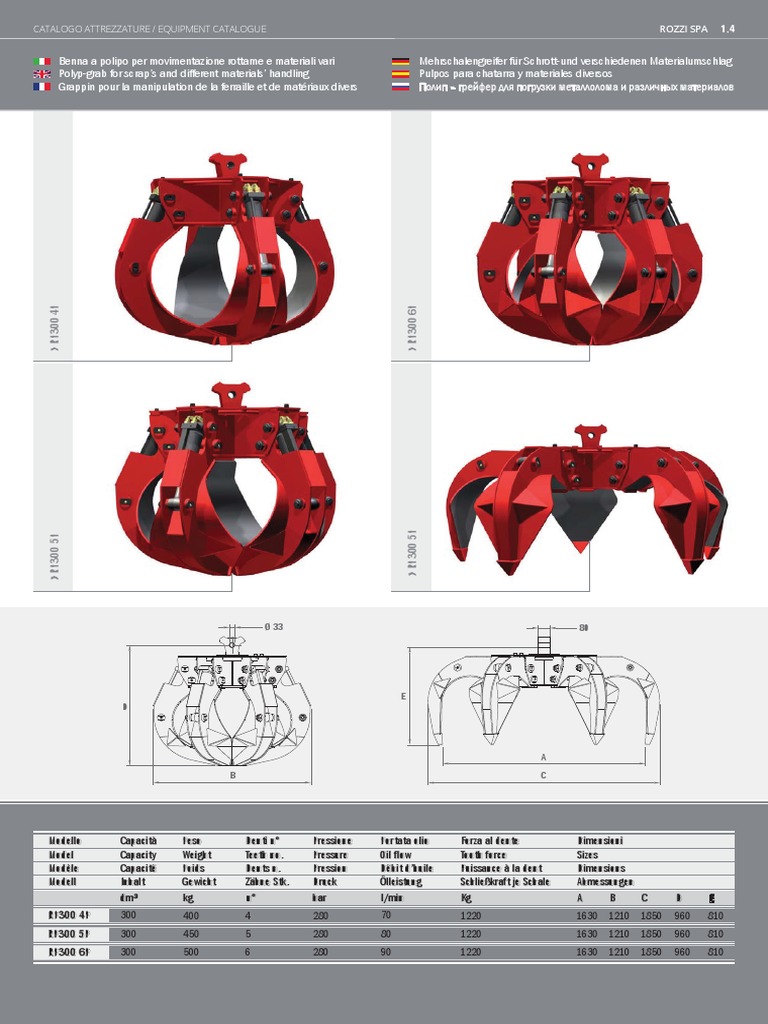 Rozzi RP300 | PDF
