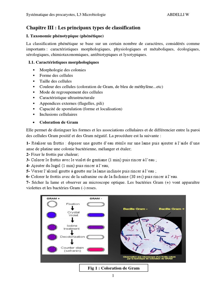 Classification des procaryotes en microbiologie | PDF | ADN | Phylogenèse