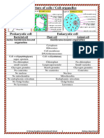 Structure of Cells / Cell Organelles: Prokaryotic Cell Eukaryotic Cell