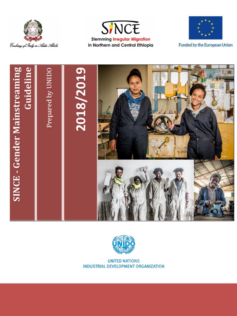 Gender Mainstreaming in SINCE Program | PDF | Gender Equality | Gender ...