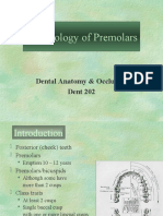Morphology of Premolars