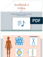 Nectar 4V Hoofstuk 2.5 DNA en de Celcyclus - Kanker
